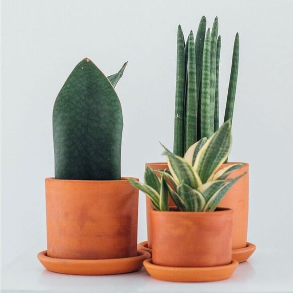 terracotta Other - Terracotta Pots | Set of 2 Terracotta Pots Size Small